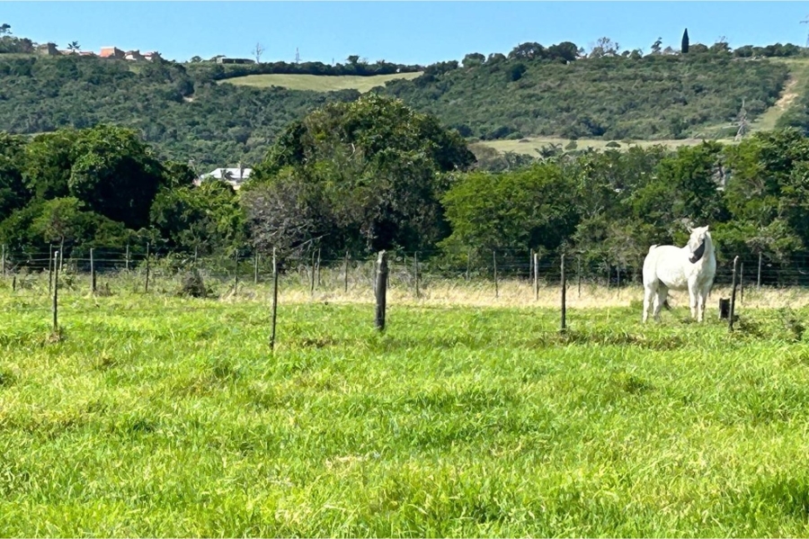 3 Bedroom Property for Sale in Gonubie Eastern Cape